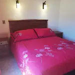 Cabanas Cerca Del Centro Pucon